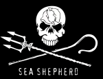 sea-shepherd